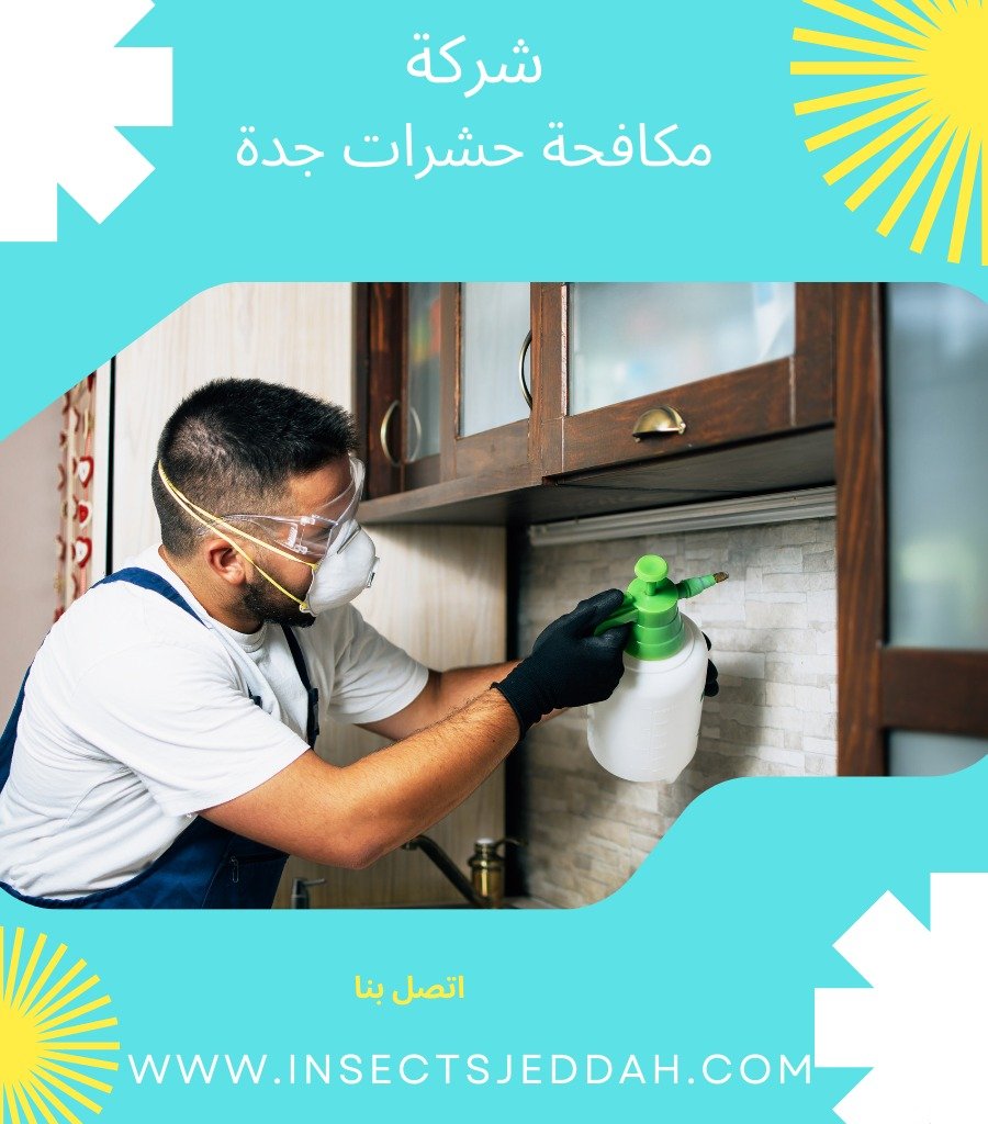 شركة رش حشرات بجدة