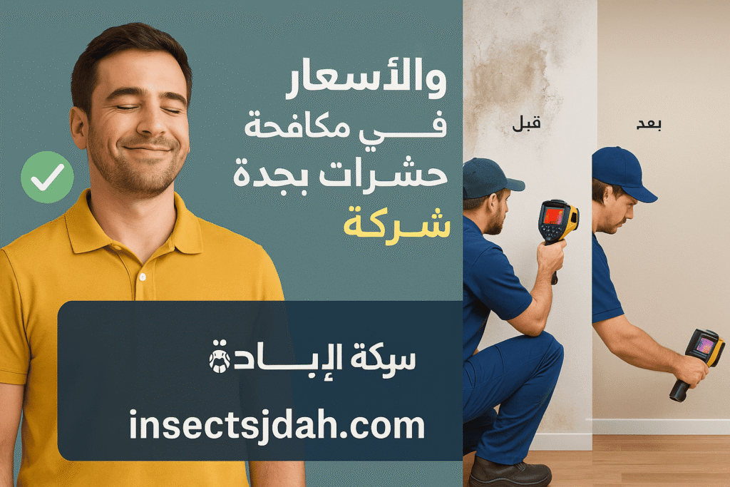 الأسعار والعروض
